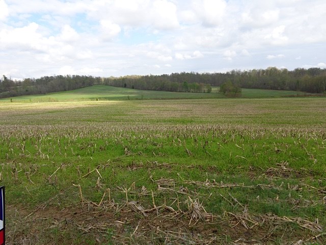 Simpson Road Gentryville, IN 47537 - Photo 1 of 6