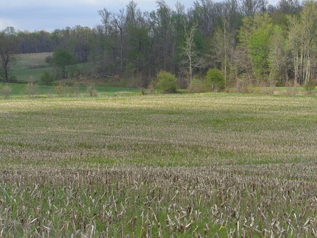 Simpson Road Gentryville, IN 47537 - Photo 2 of 6