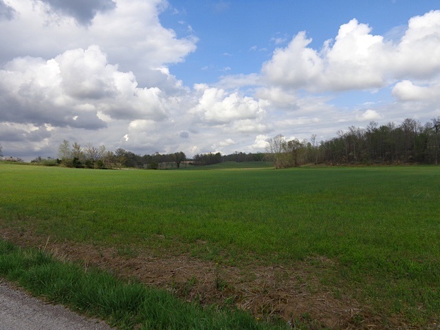 Simpson Road Gentryville, IN 47537 - Photo 3 of 6