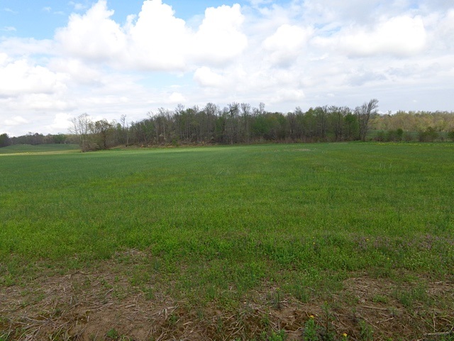 Simpson Road Gentryville, IN 47537 - Photo 4 of 6