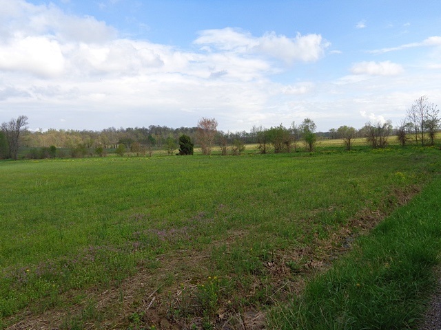 Simpson Road Gentryville, IN 47537 - Photo 5 of 6