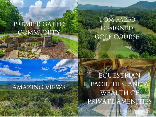 $100,000 | 0 Deep Gap Farm Road East, Unit 2021, Mill Spring, NC 28756