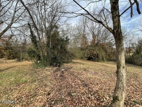 240 Sliger Lane Decatur, TN 37322 - Photo 36 of 44 IMG_5282