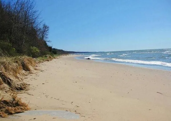 $489,900 | 1007 Orchard Avenue, South Haven, MI 49090