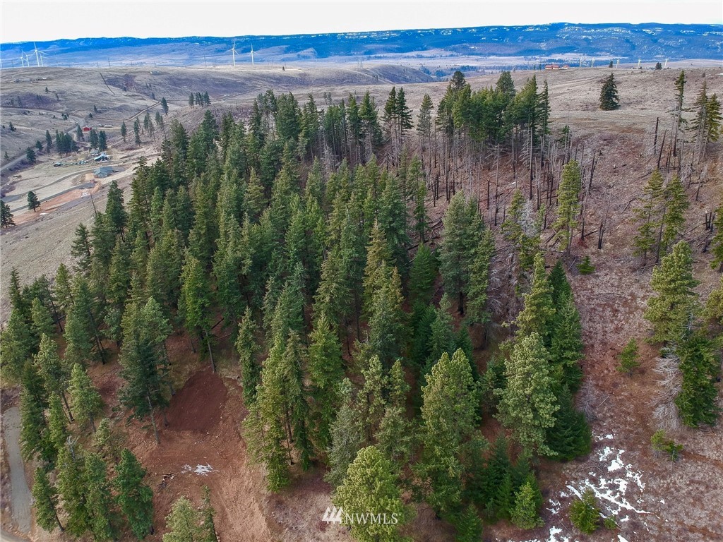 14-lot Low Road Cle Elum, WA 98922 - Photo 11 of 18 Gallery Image 11