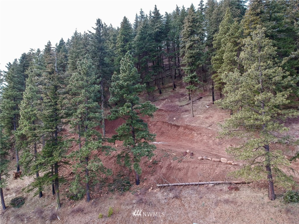 14-lot Low Road Cle Elum, WA 98922 - Photo 12 of 18 Gallery Image 12