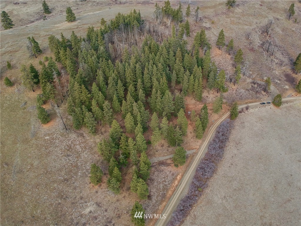 14-lot Low Road Cle Elum, WA 98922 - Photo 13 of 18 Gallery Image 13