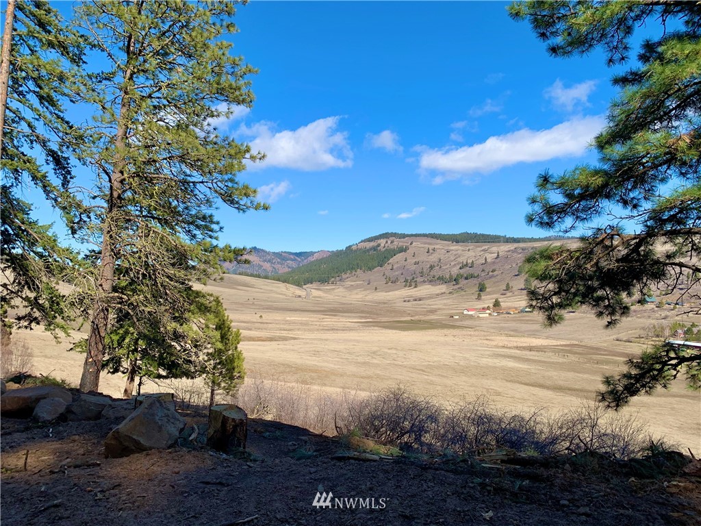 14-lot Low Road Cle Elum, WA 98922 - Photo 3 of 18 Gallery Image 3