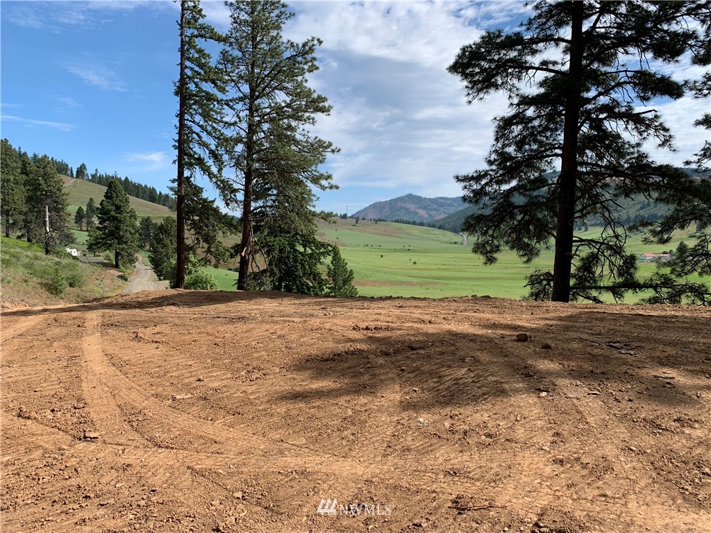 14-lot Low Road Cle Elum, WA 98922 - Photo 4 of 18 Gallery Image 4