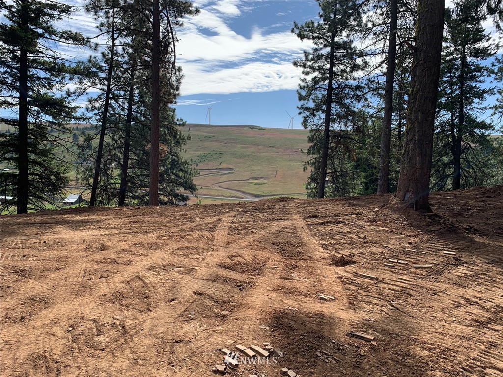 14-lot Low Road Cle Elum, WA 98922 - Photo 5 of 18 Gallery Image 5