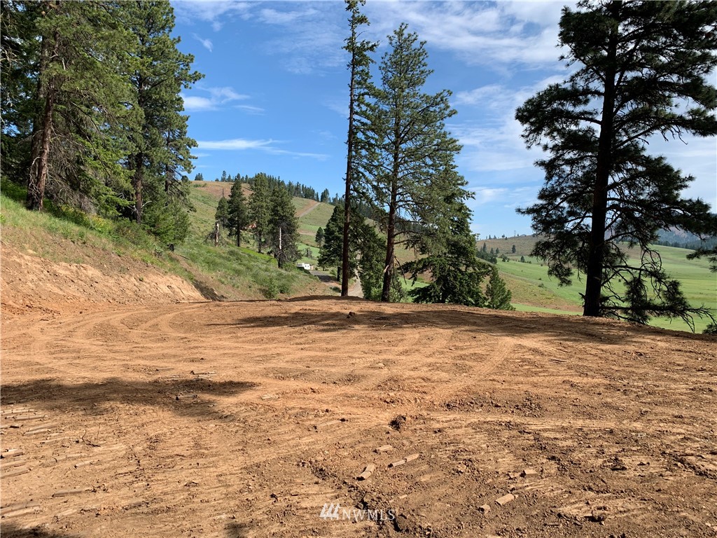 14-lot Low Road Cle Elum, WA 98922 - Photo 6 of 18 Gallery Image 6