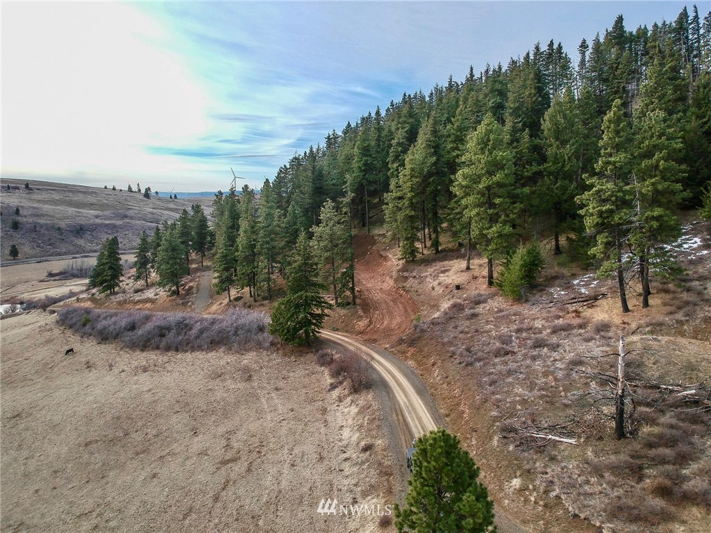 14-lot Low Road Cle Elum, WA 98922 - Photo 7 of 18 Gallery Image 7