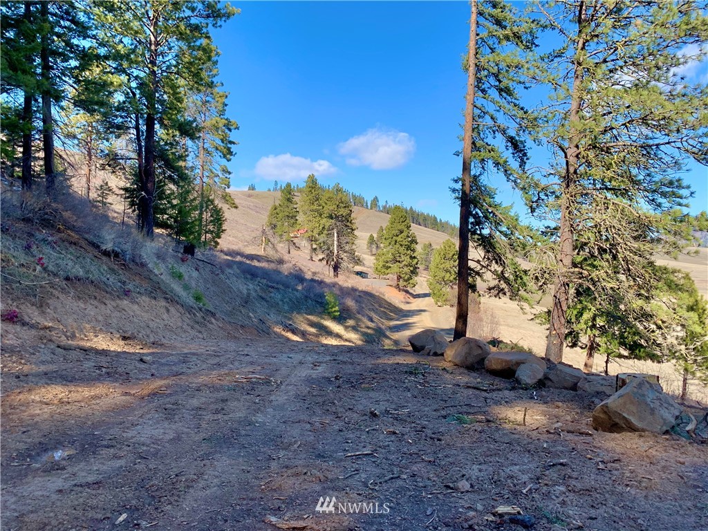 14-lot Low Road Cle Elum, WA 98922 - Photo 9 of 18 Gallery Image 9
