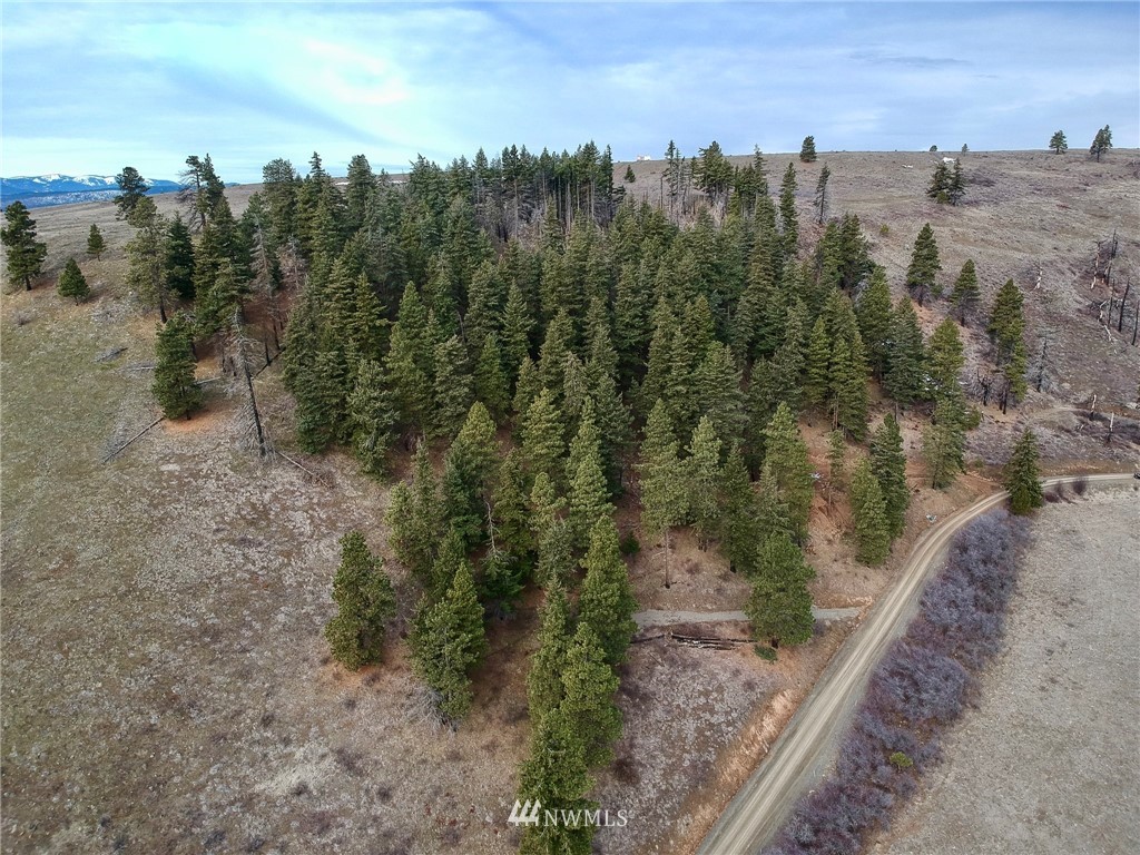 14-lot Low Road Cle Elum, WA 98922 - Photo 10 of 18 Gallery Image 10