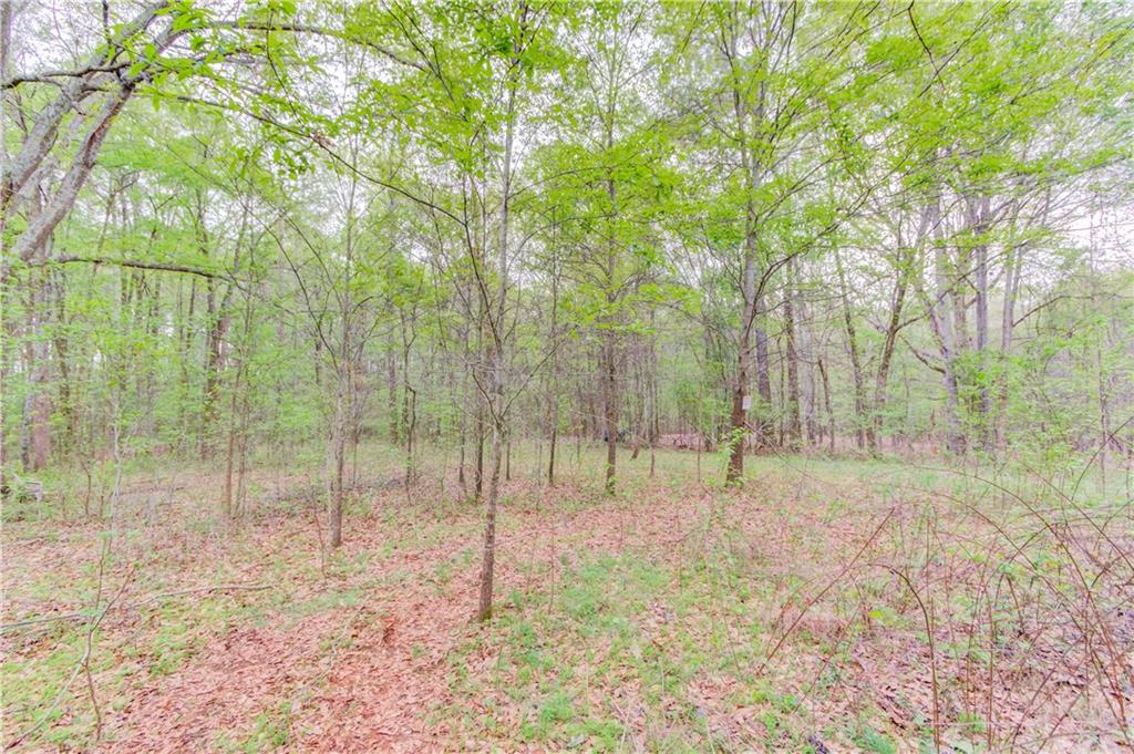 194 Highway 82 Jefferson, GA 30549 - Photo 17 of 25