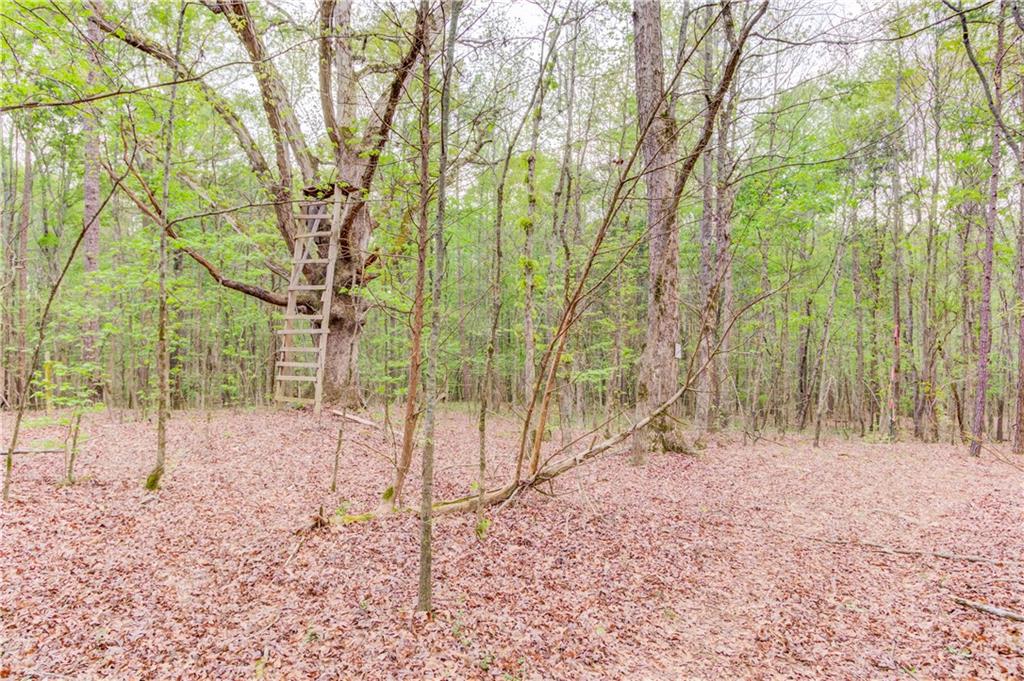 194 Highway 82 Jefferson, GA 30549 - Photo 20 of 25