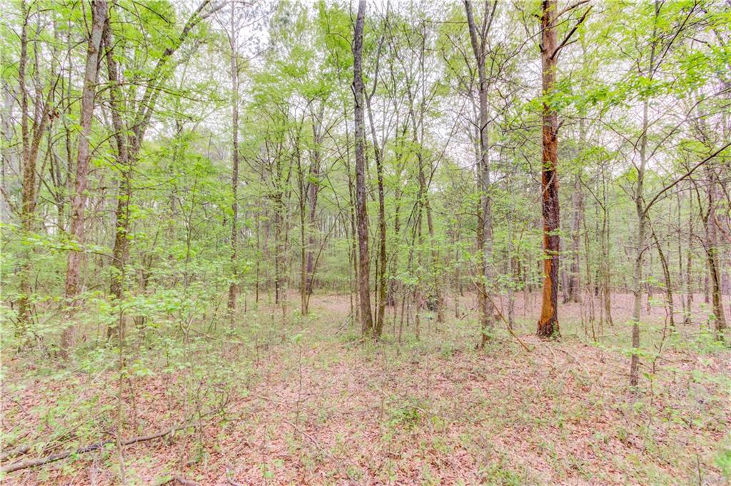 194 Highway 82 Jefferson, GA 30549 - Photo 21 of 25