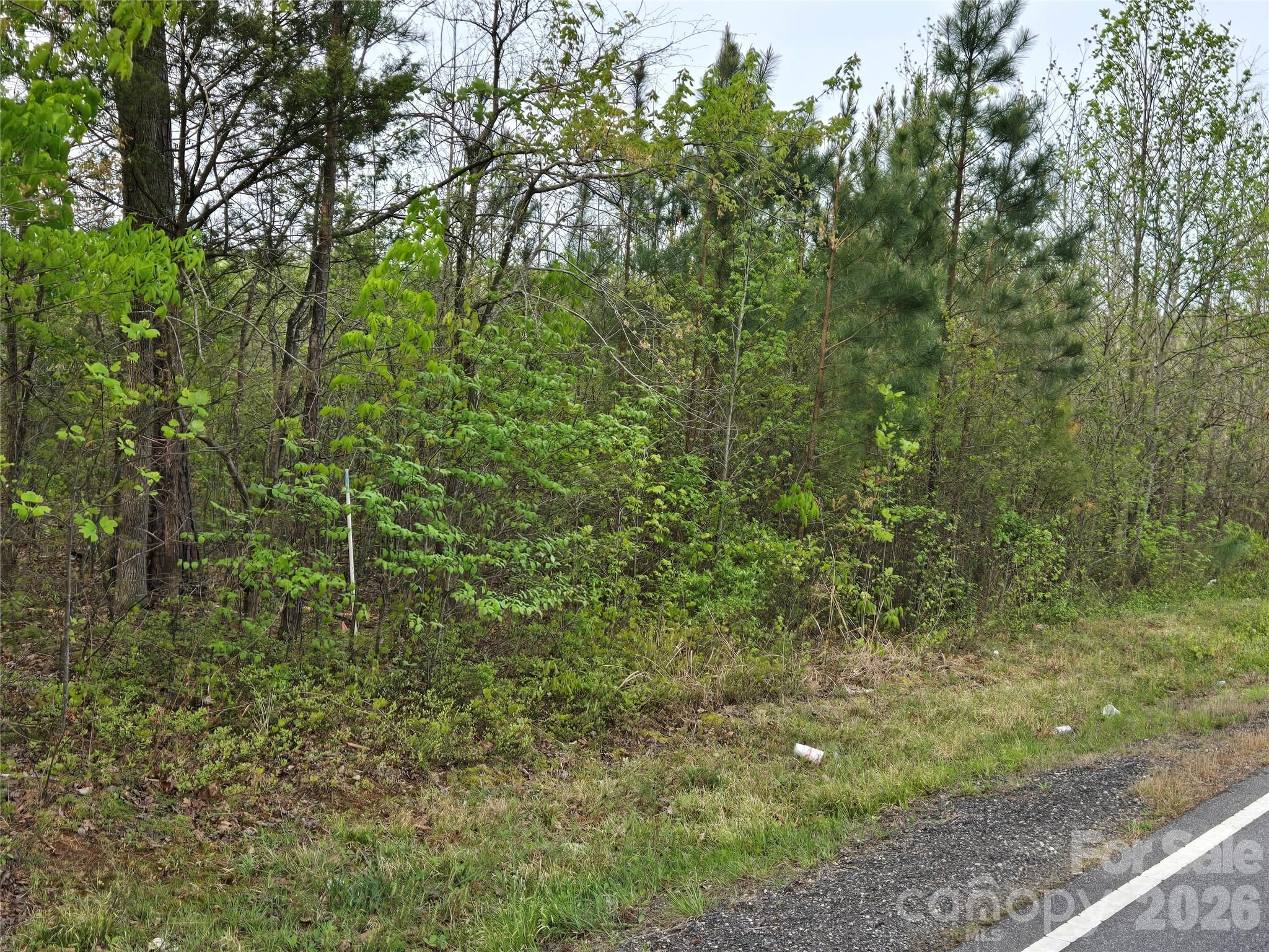 3121 Cold Springs Road South Concord, NC 28025 - Photo 4 of 11 Gallery Image 4