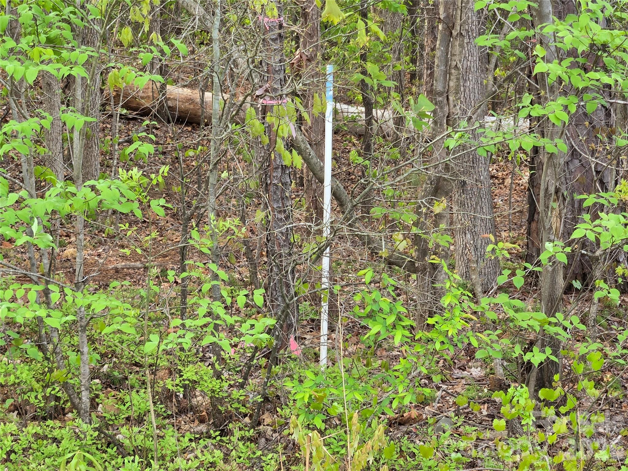 3121 Cold Springs Road South Concord, NC 28025 - Photo 5 of 11 Gallery Image 5