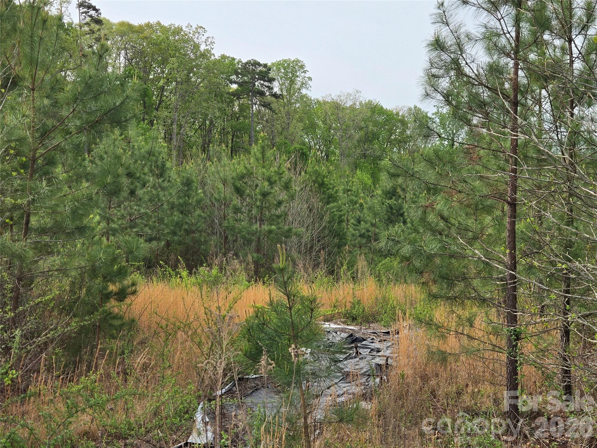 3121 Cold Springs Road South Concord, NC 28025 - Photo 7 of 11 Gallery Image 7