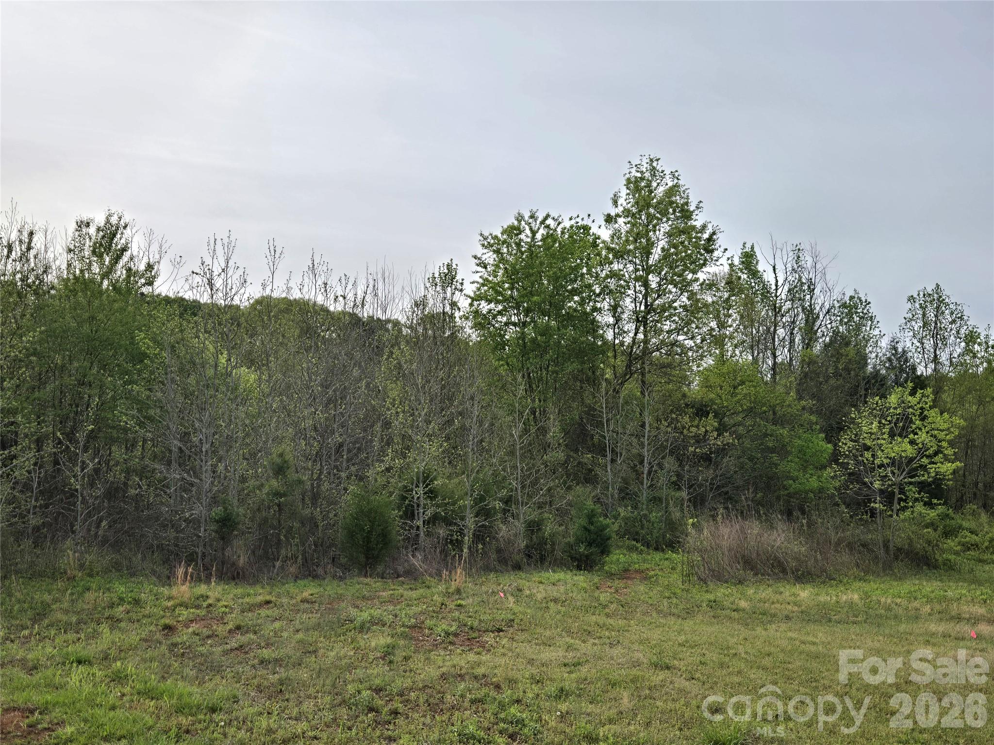 3121 Cold Springs Road South Concord, NC 28025 - Photo 8 of 11 Gallery Image 8