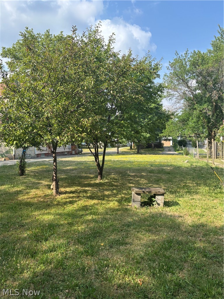 829 Whitcomb Road Cleveland, OH 44110 - Photo 10 of 12