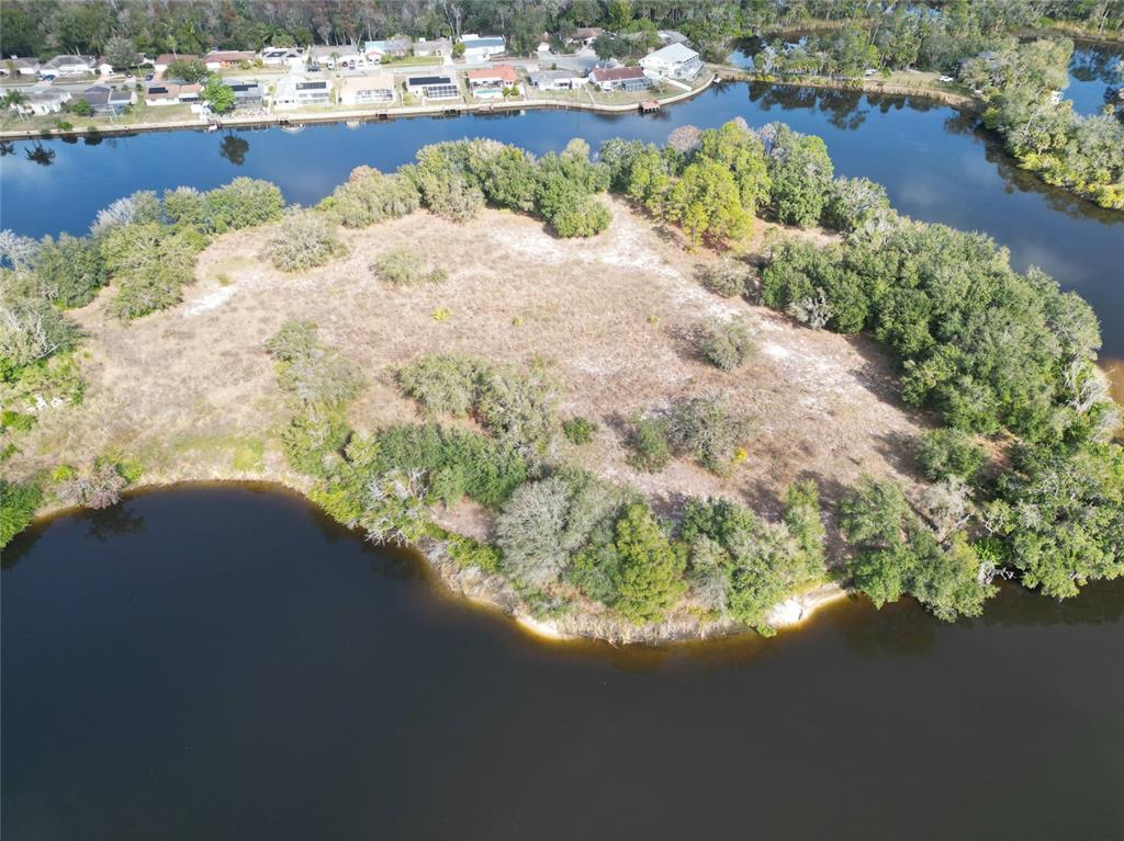 0 Berry Hill Road Holiday, FL 34690 - Photo 7 of 43