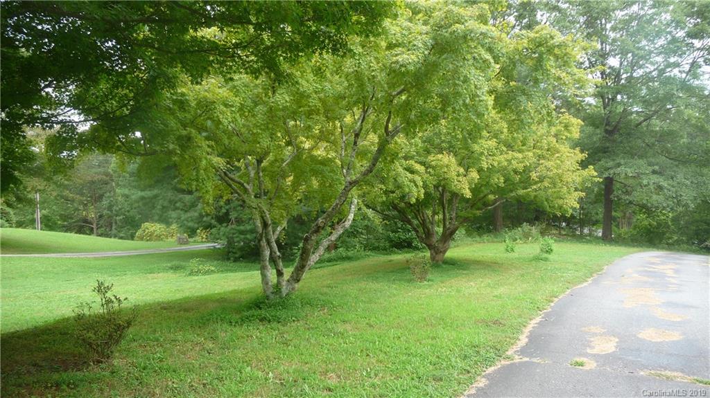 1624 Howard Gap Road Tryon, NC 28782 - Photo 2 of 35