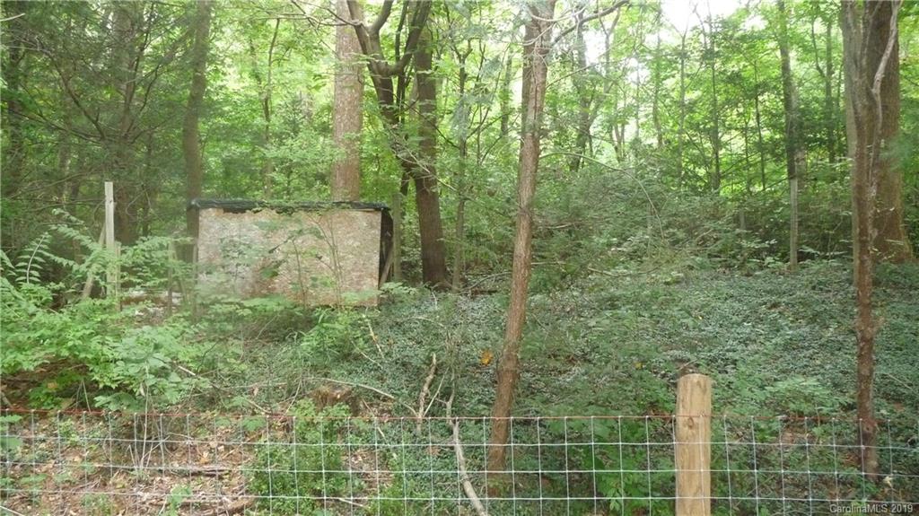 1624 Howard Gap Road Tryon, NC 28782 - Photo 25 of 35