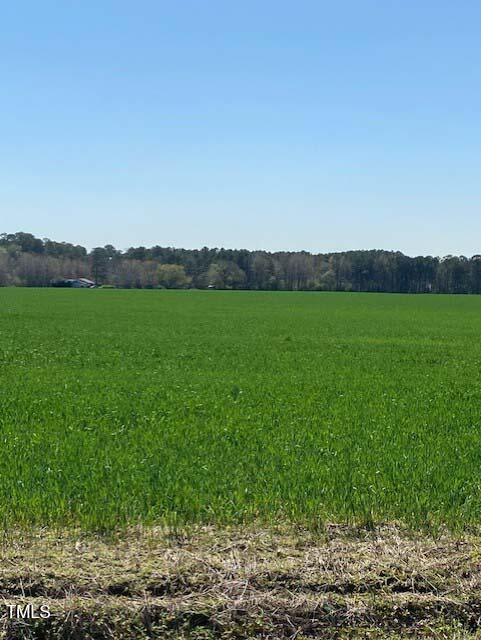 Lot 6 Julian Road Dunn, NC 28334 - Photo 3 of 6 5