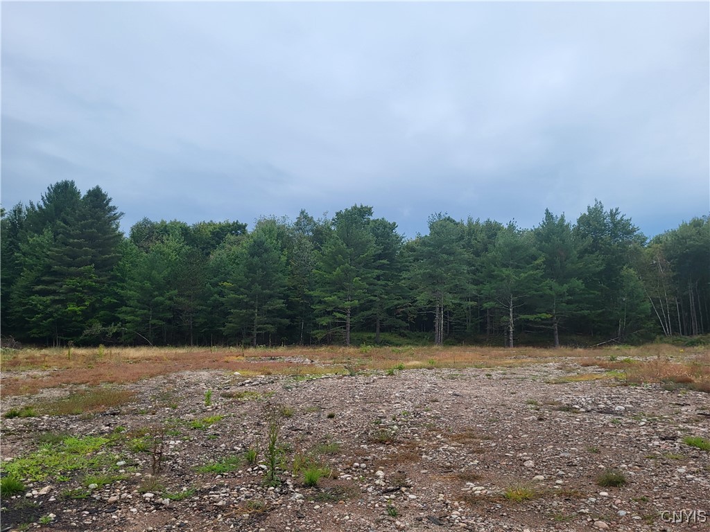 2321 State Rte 3 Harrisville, NY 13648 - Photo 17 of 39