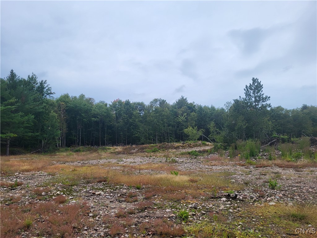 2321 State Rte 3 Harrisville, NY 13648 - Photo 19 of 39