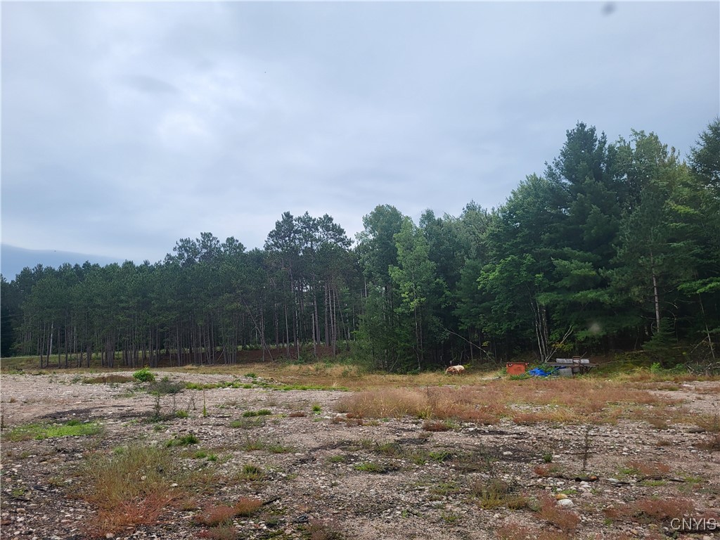 2321 State Rte 3 Harrisville, NY 13648 - Photo 21 of 39