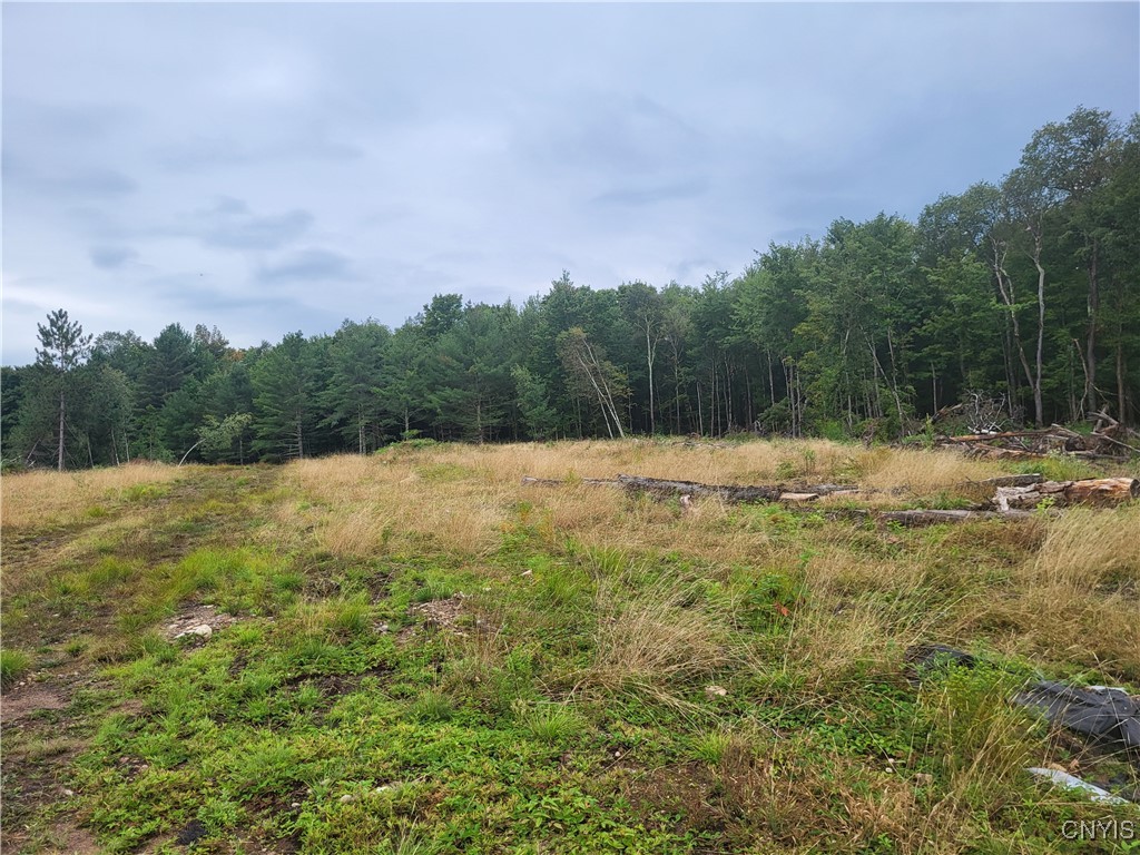 2321 State Rte 3 Harrisville, NY 13648 - Photo 23 of 39