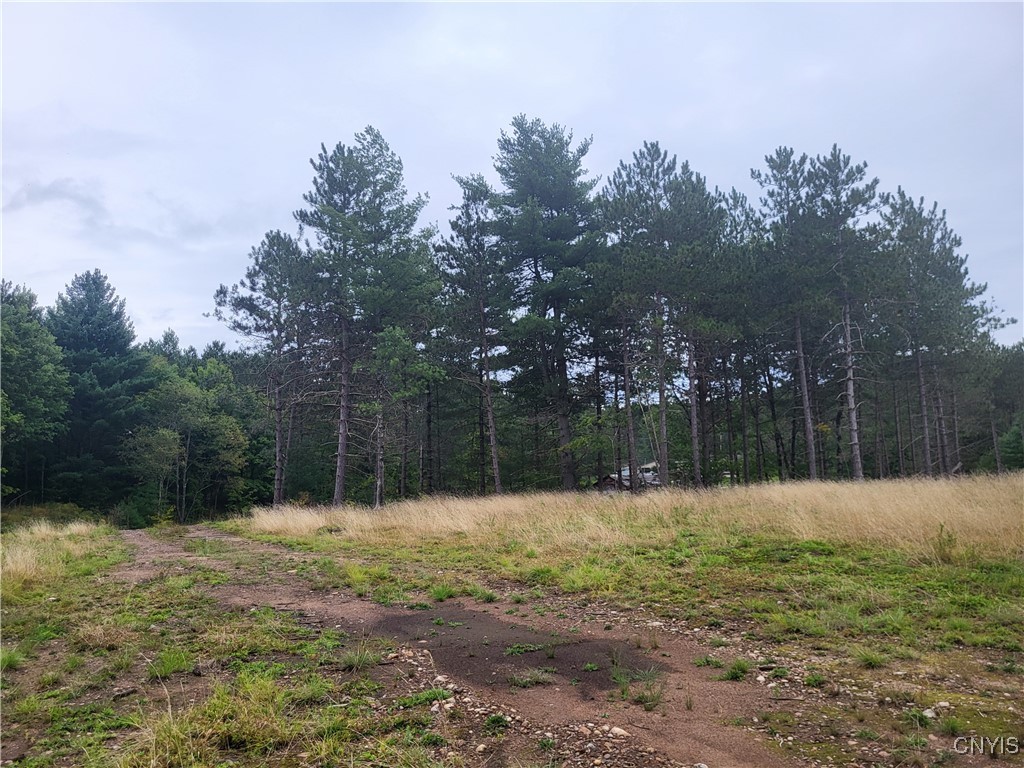 2321 State Rte 3 Harrisville, NY 13648 - Photo 24 of 39