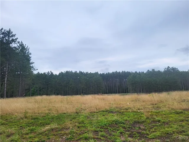 $55,000 | 2321 State Rte 3, Harrisville, NY 13648