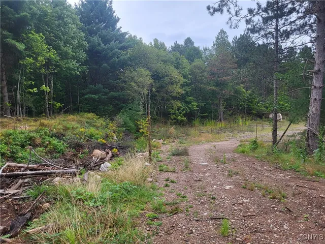 $55,000 | 2321 State Rte 3, Harrisville, NY 13648