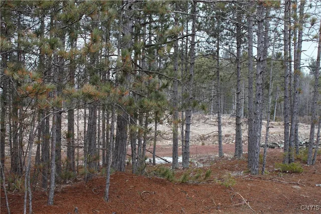 $55,000 | 2321 State Rte 3, Harrisville, NY 13648