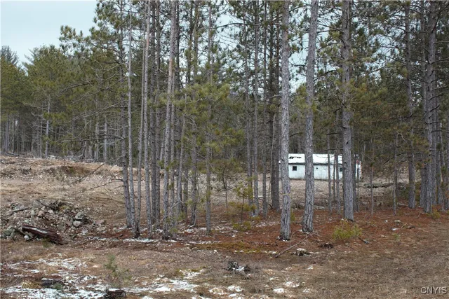 $55,000 | 2321 State Rte 3, Harrisville, NY 13648