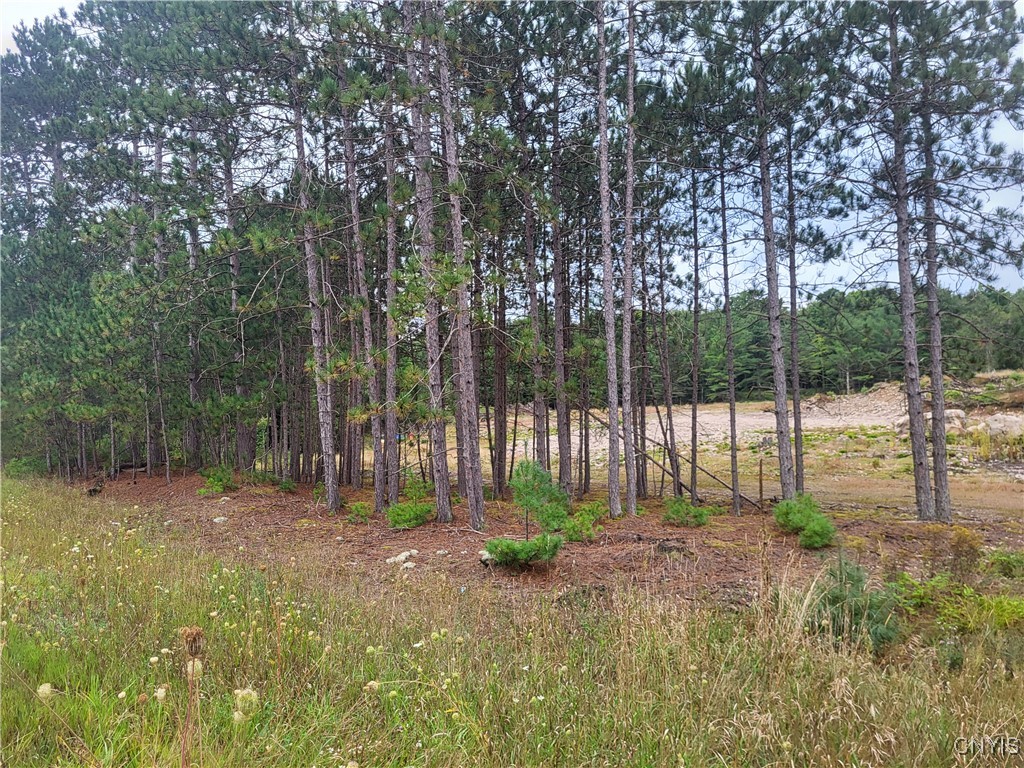 2321 State Rte 3 Harrisville, NY 13648 - Photo 6 of 39