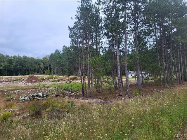 $55,000 | 2321 State Rte 3, Harrisville, NY 13648