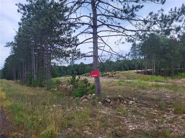 $55,000 | 2321 State Rte 3, Harrisville, NY 13648