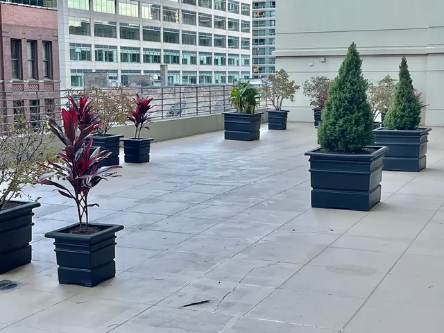 a building with potted plants in front of it