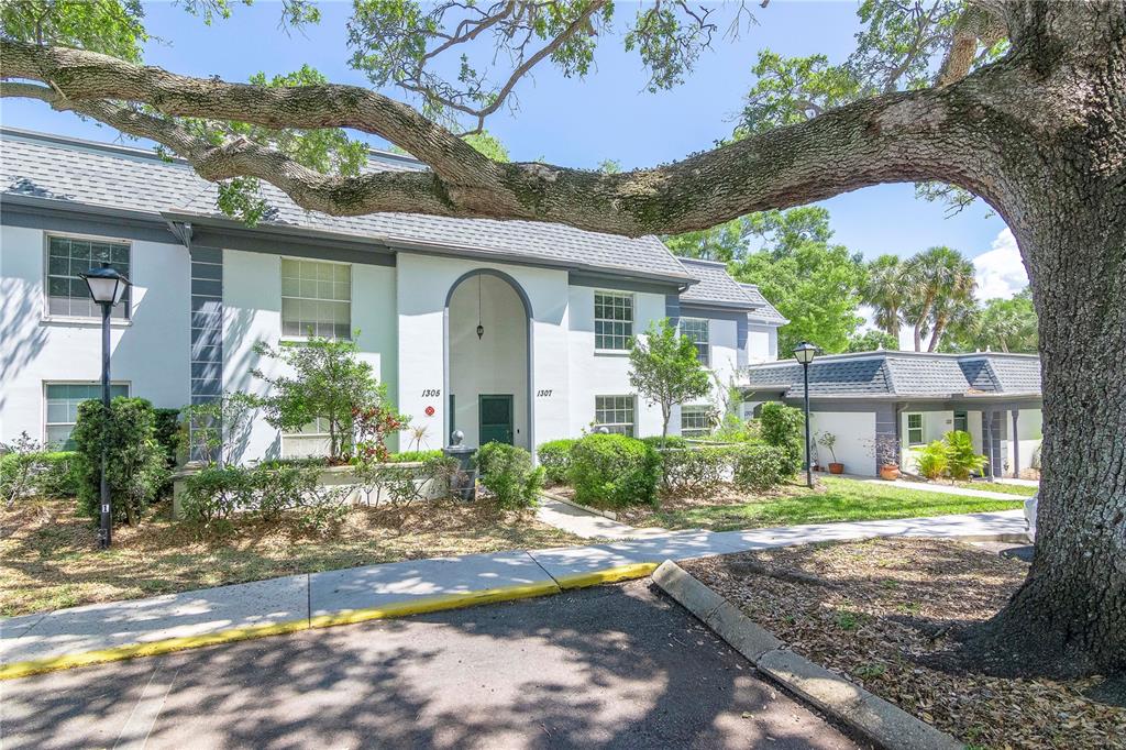 1307 McMullen Booth Road Clearwater, FL 33759 - Photo 1 of 1 a front view of a house with a yard