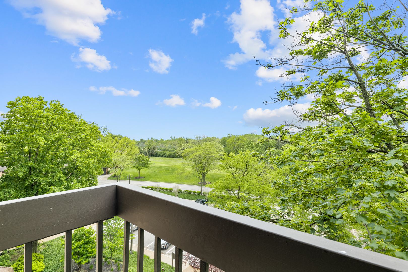 1771 Mission Hills Road, Unit 412 Northbrook, IL 60062 - Photo 18 of 21 a view of a green yard with a tree in the background