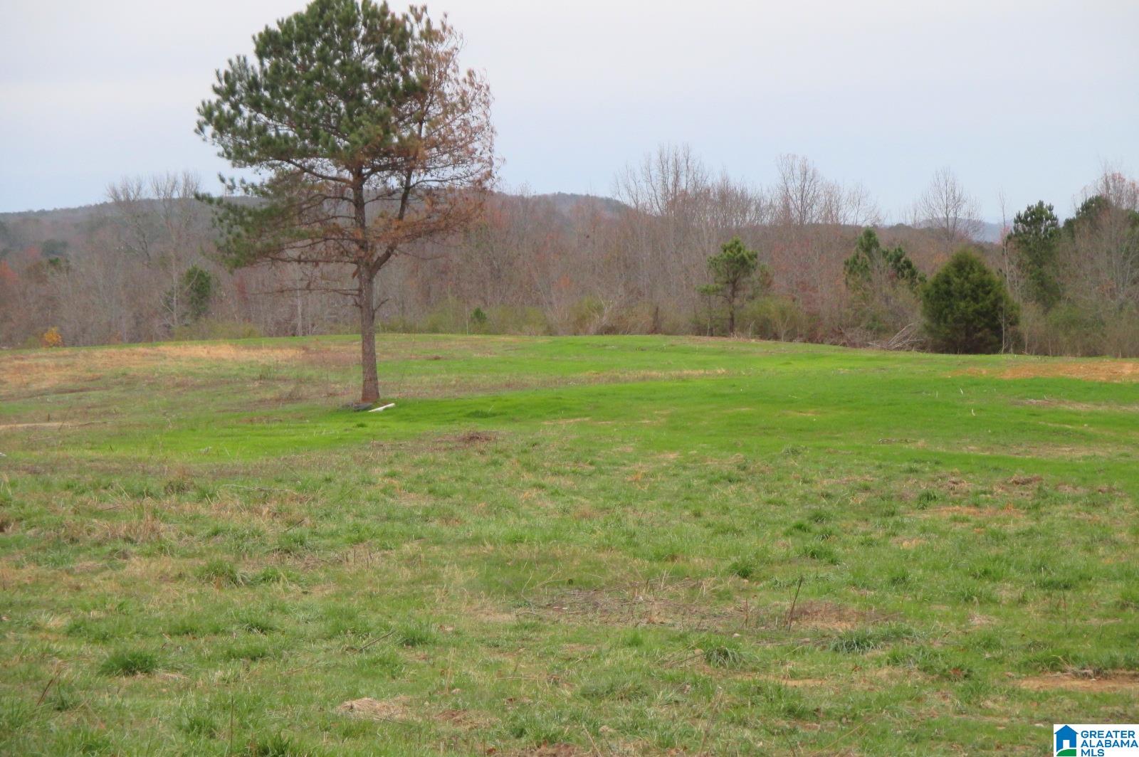 10362 Co Highway 24 Oneonta, AL 35121 - Photo 2 of 17