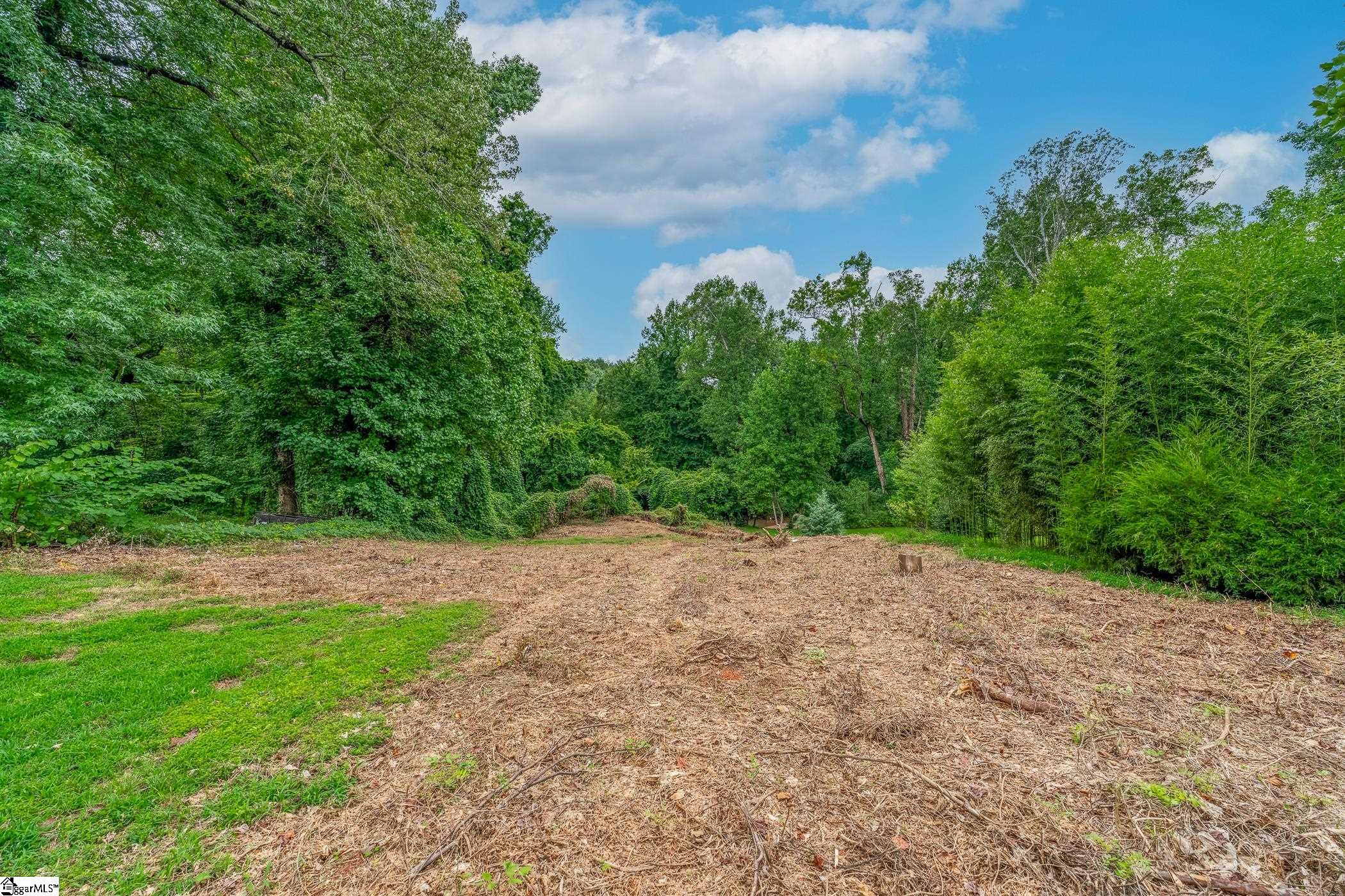 0 Pine Street Extension Greer, SC 29651 - Photo 5 of 8 Gallery Image 5