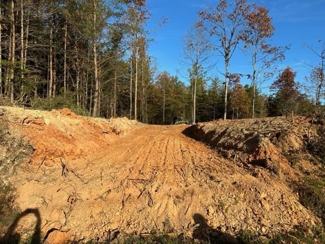 2 A Liberty Chapel Road, Unit 2A Appomattox, VA 24522 - Photo 2 of 2 Gallery Image 2