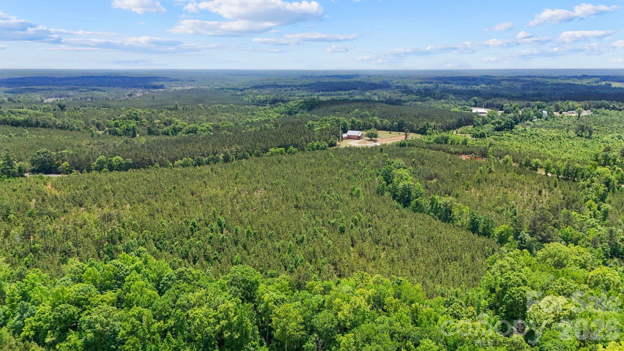 0 Cool Branch Road, Unit 3 Carlisle, SC 29031 - Photo 3 of 20
