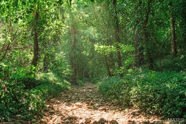 $399,900 | 218 South King Street, Lebanon, MO 65536